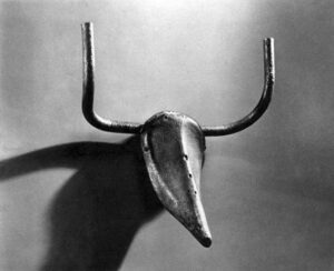 Bull's Head