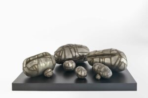 Steel Embryology, 2007 – 2008