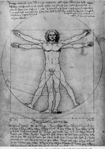 The proportions of the human figure (The Vitruvian Man)